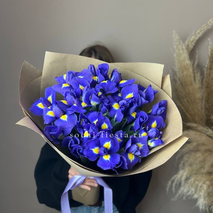 Ирисы в Шахтах