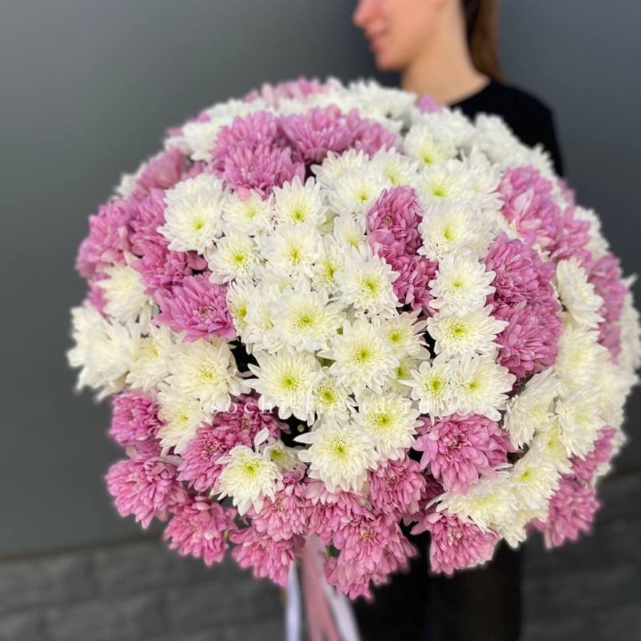  Букет 25 хризантем микс в Шахтах