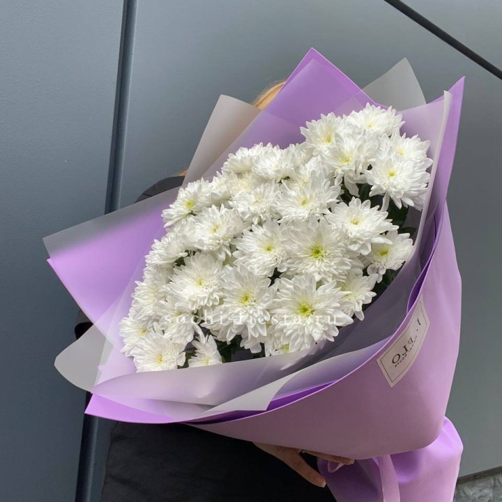  7 хризантем  в Шахтах