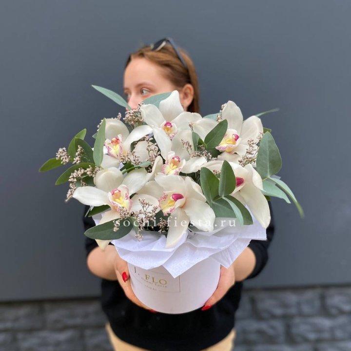 7 орхидей в боксе в Шахтах