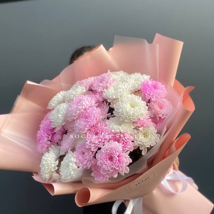  Букет бело-розовых хризантем  в Шахтах