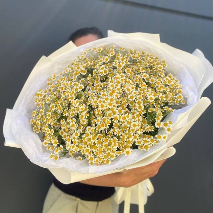 Букет ромашек №2 в Шахтах