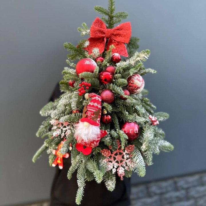 Новогодняя елочка "Ред" в Шахтах