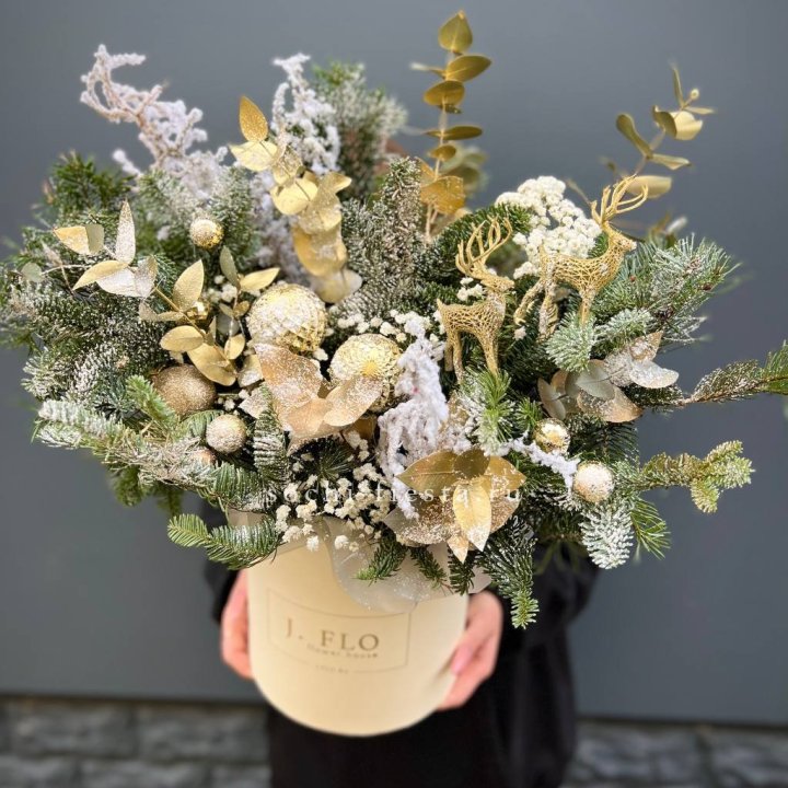 Золотой бокс с нобилисом в Шахтах