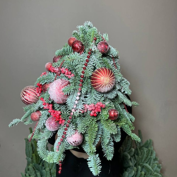 Ёлка красная в Шахтах