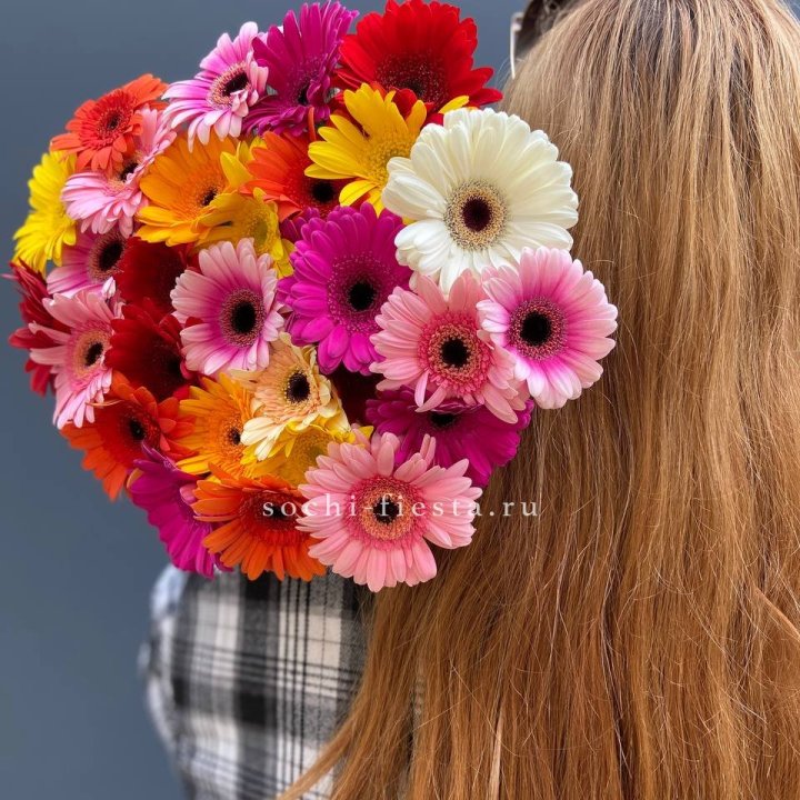 Охапка гербер  в Шахтах