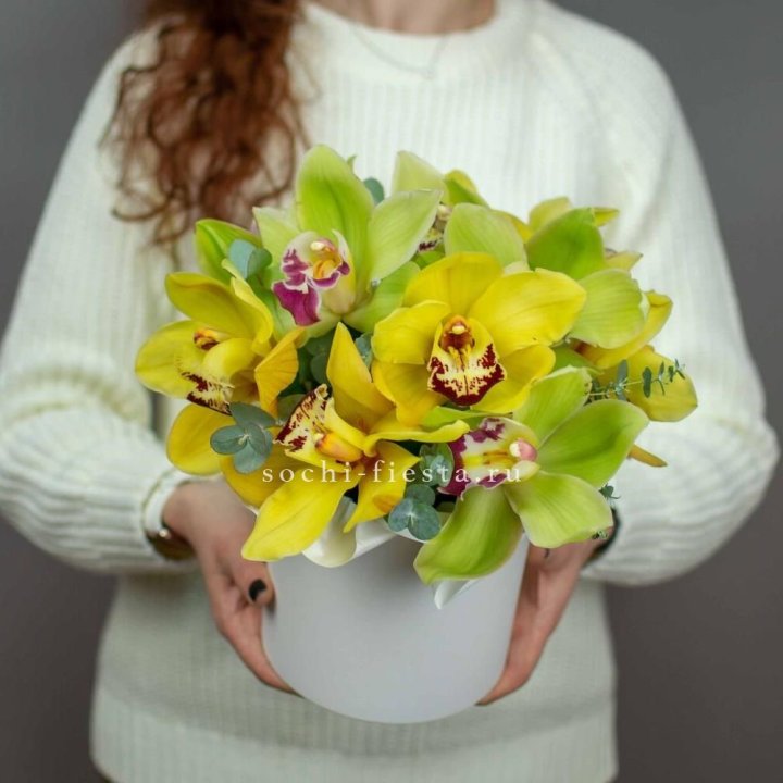 Бокс с орхидей №1 в Шахтах