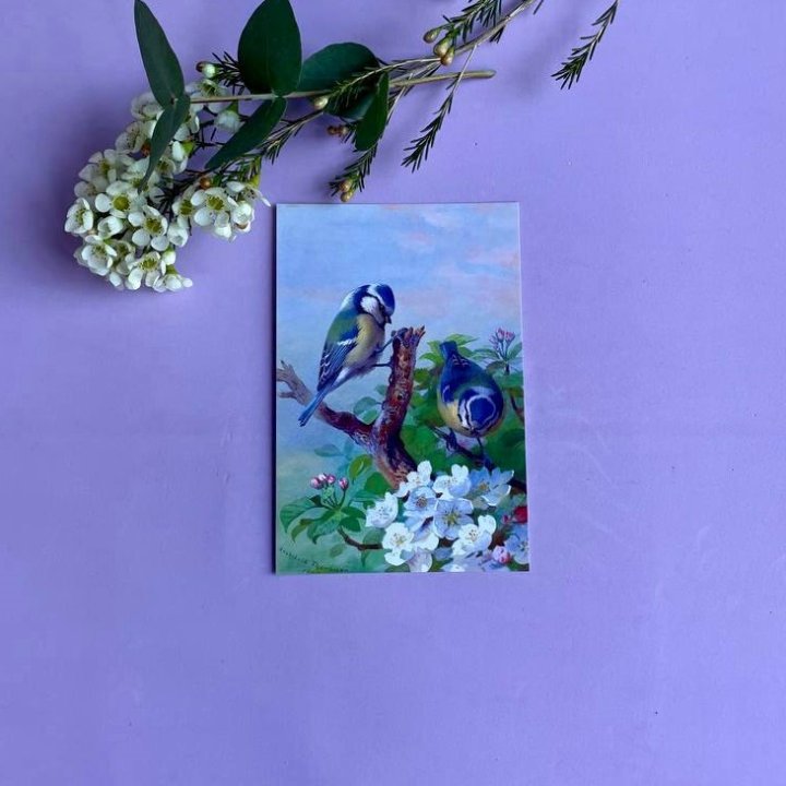 Открытка к букету "Птицы" в Шахтах