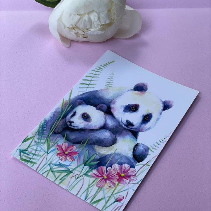 Открытка к букету "Объятие Панды" в Шахтах