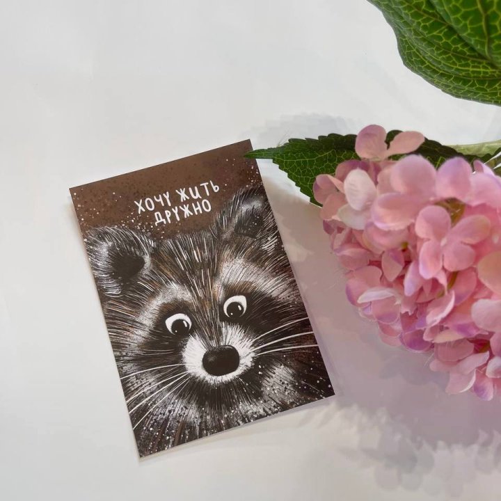 Открытка к букету "Енотик" в Шахтах