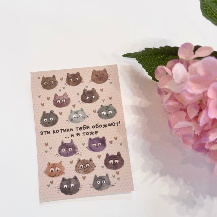 Открытка к букету "Котики" в Шахтах