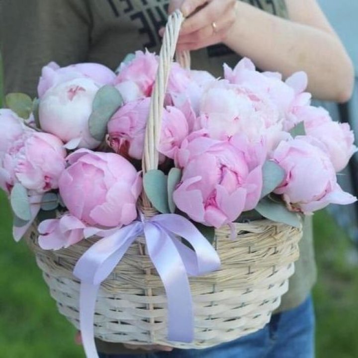 15 пионов в корзине в Шахтах