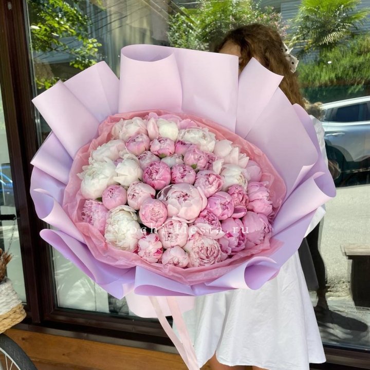 51 розовый пион в Шахтах