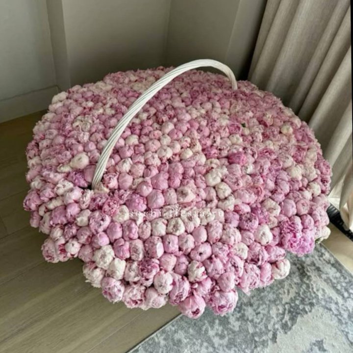 Корзина 555 пионов в Шахтах