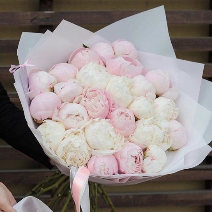 29 пионов в Шахтах