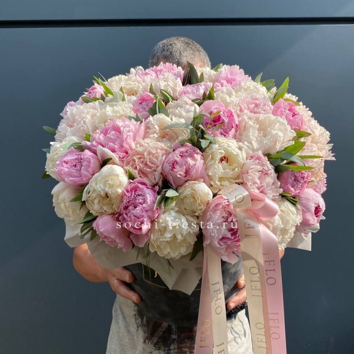 51 пионов в боксе в Шахтах