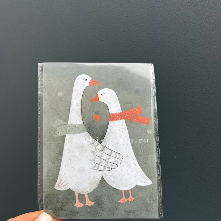 Открытка к букету "Гуси” в Шахтах