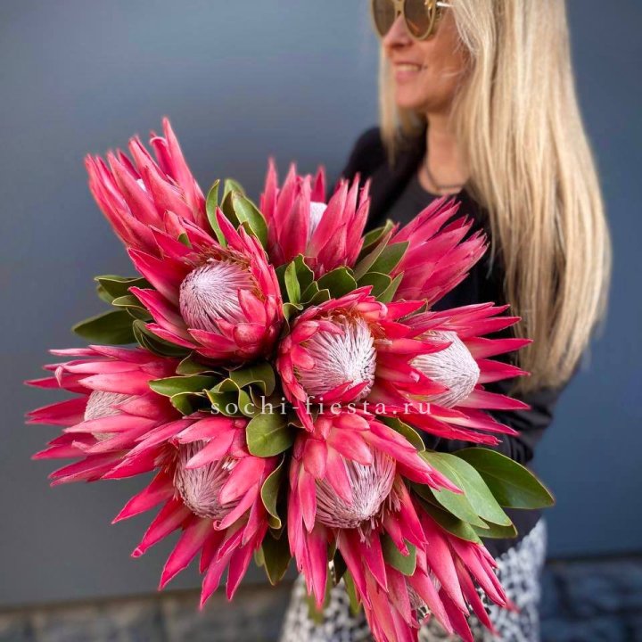 Протея штучно в Шахтах