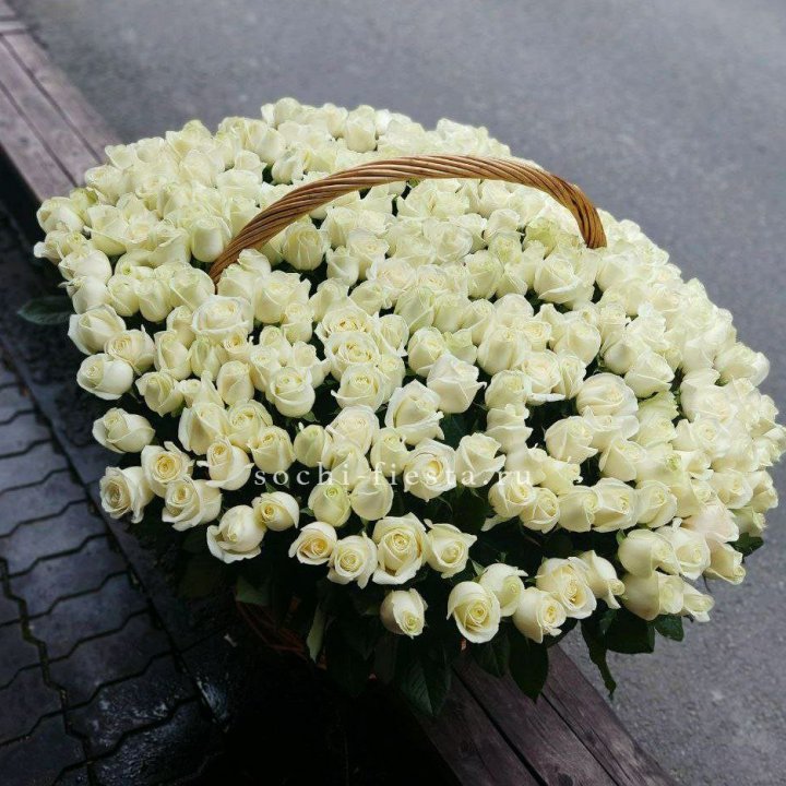 303 розы в корзине в Шахтах