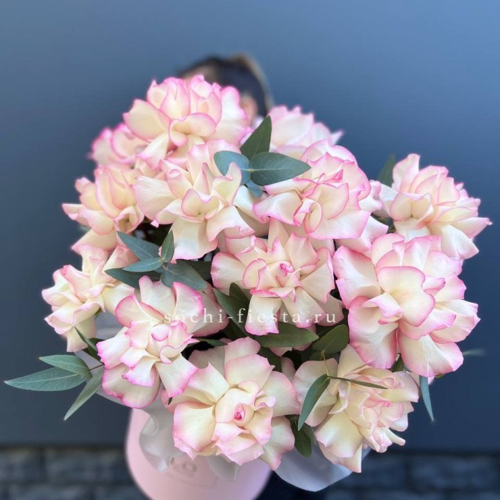 15 Французских роз Джумилия в боксе в Шахтах