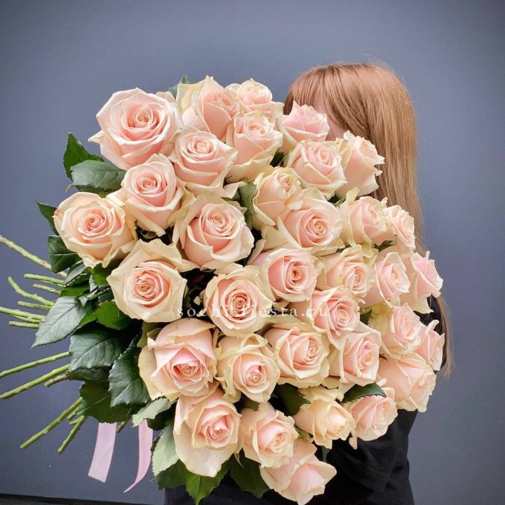 35 кремовых высоких роз в Шахтах
