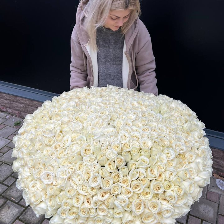 501 белая роза в корзине в Шахтах