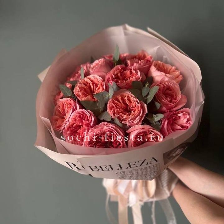 15 Пинк экспрешен в Шахтах