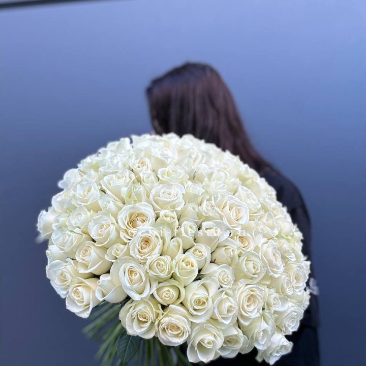 Охапка из 101 белой розы  в Шахтах