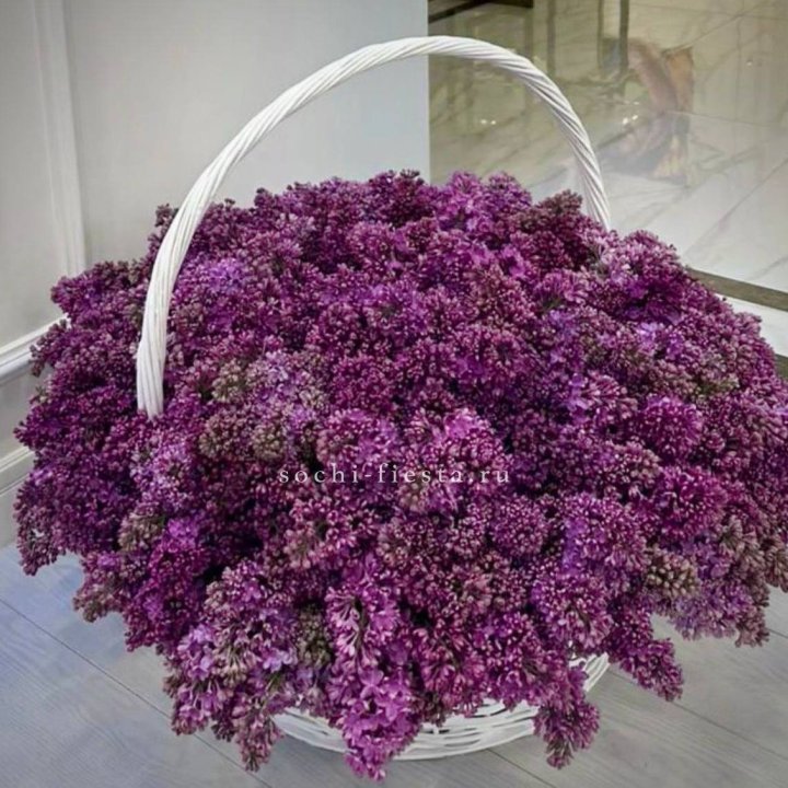 Корзина сирени в Шахтах