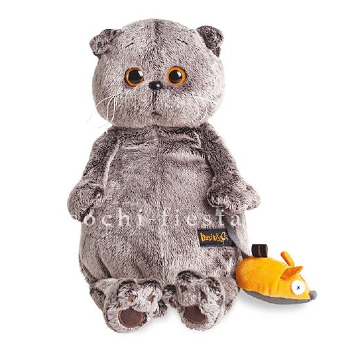 Кот Басик с мышкой в Шахтах