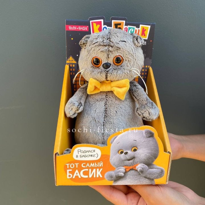 Кот Басик с бабочкой в Шахтах