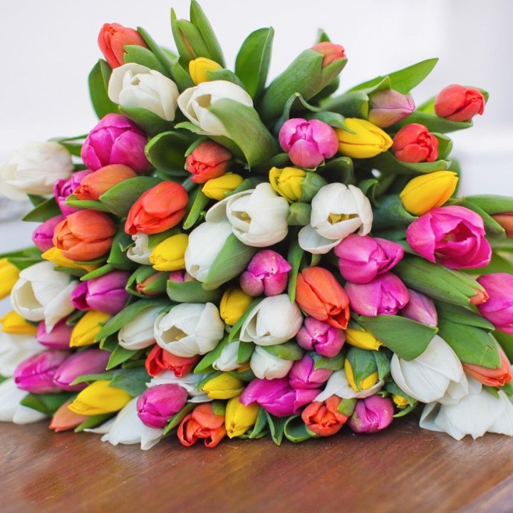 79 тюльпанов "Рандом" в Шахтах