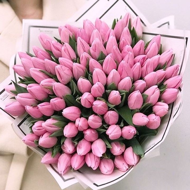 101 розовый тюльпан в белом в Шахтах