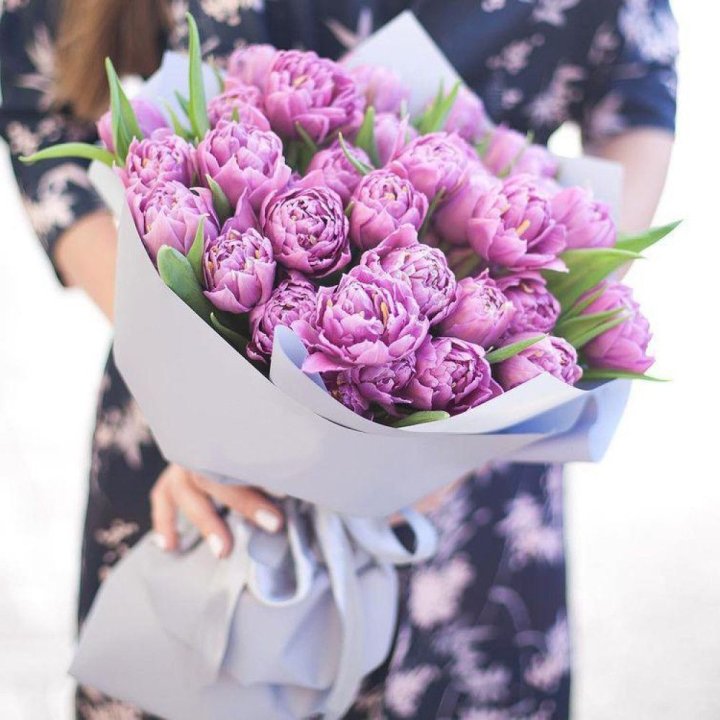 Тюльпаны "Пионс" в Шахтах