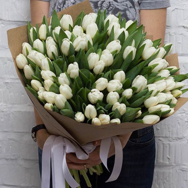 101 тюльпан сноу в Шахтах