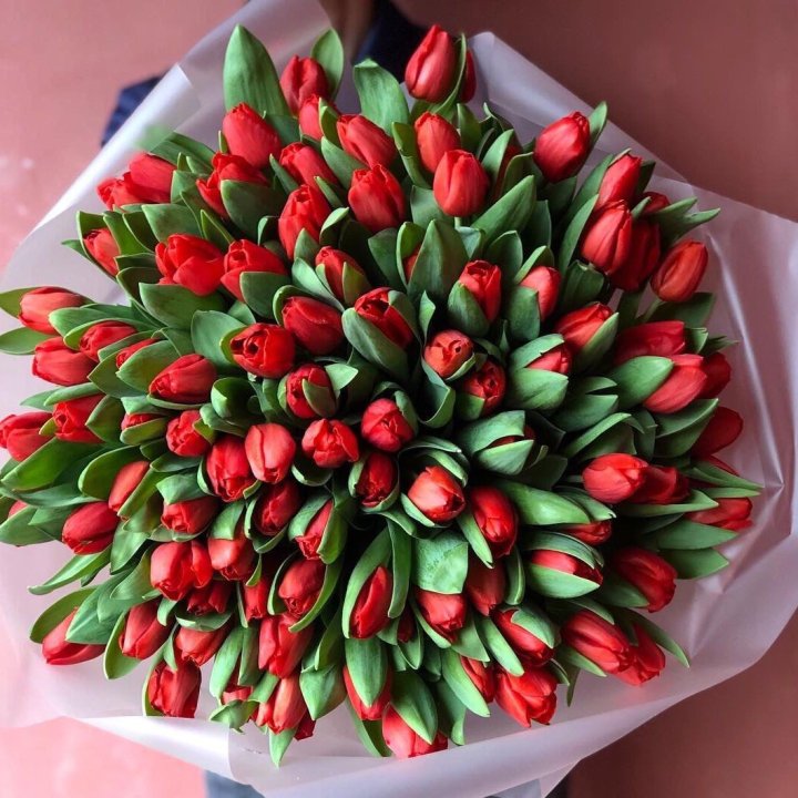 101 красный тюльпан в Шахтах